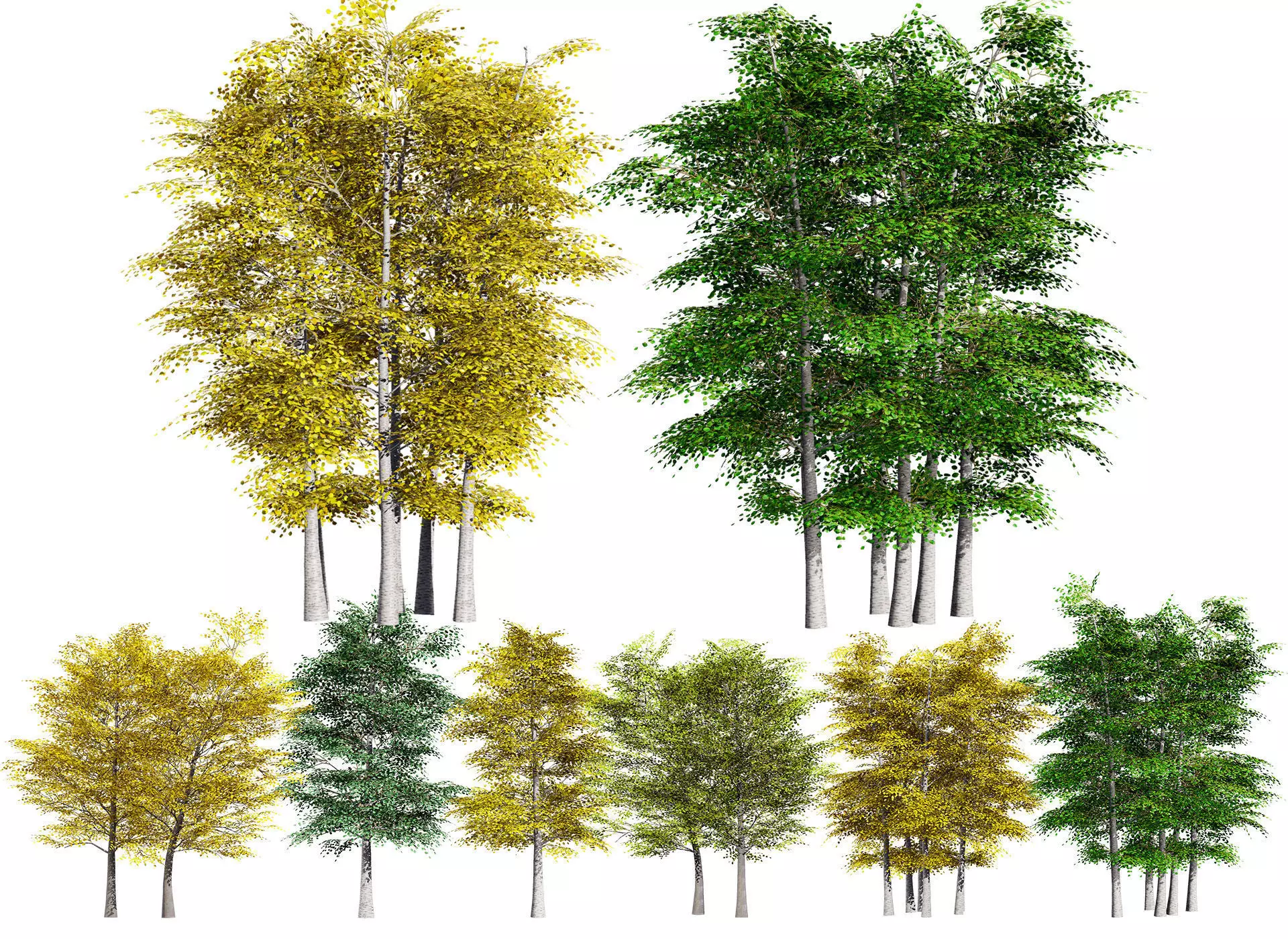 Aspen Tree Pack Low-poly 3D model