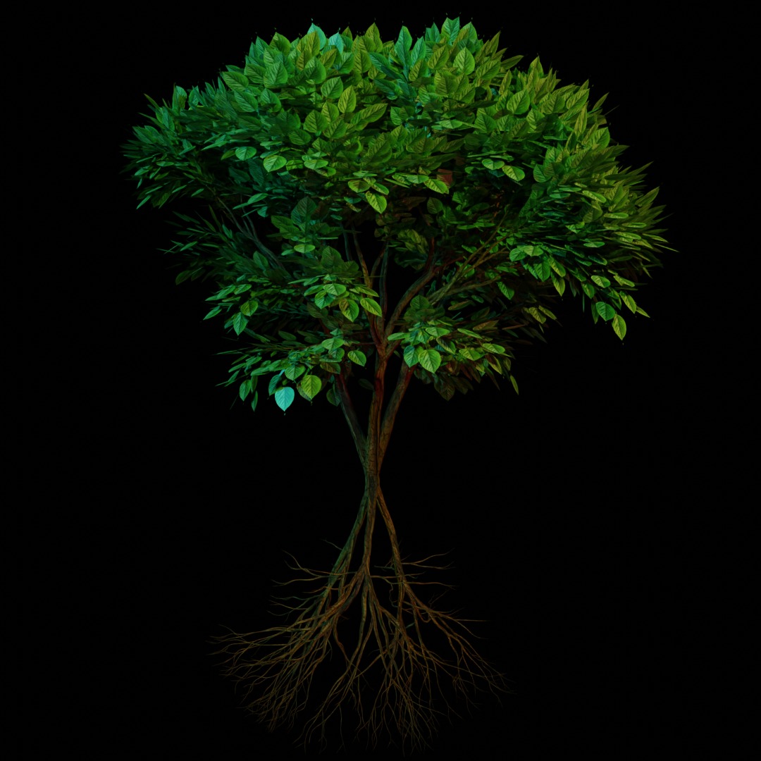 tree in garden Free 3D model_1