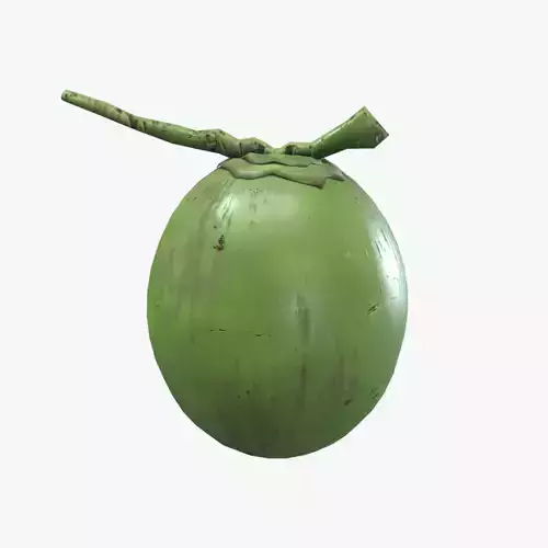 Medieval Coconut