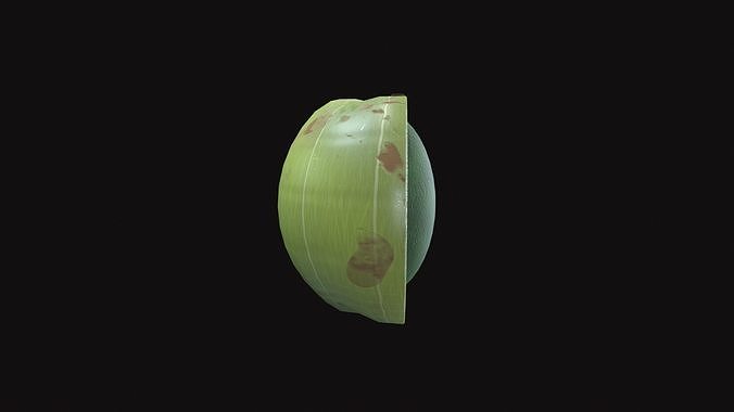 Medieval Gooseberries Low-poly 3D model 7