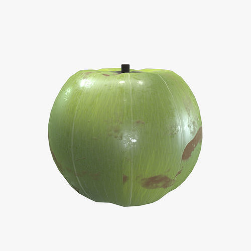 Medieval Gooseberries Low-poly 3D model 2