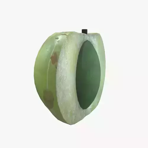Medieval Gooseberries Low-poly 3D model