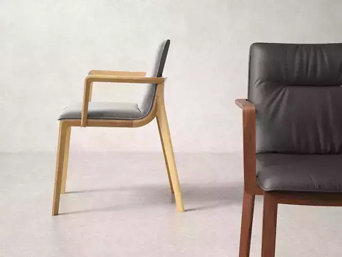 Challenge Armchair Soft 3D model