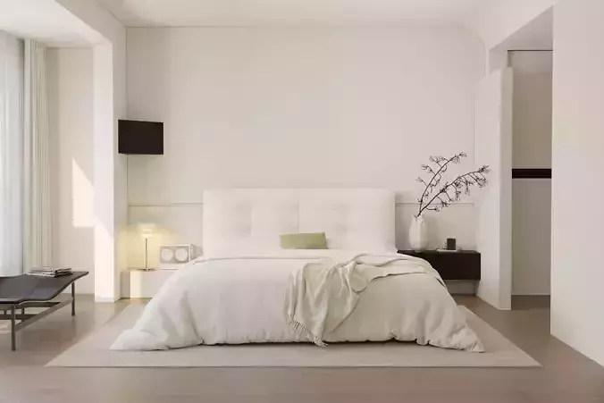 Modern residential indoor 