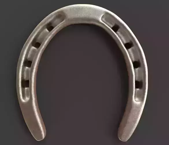 The Horseshoe 3D model