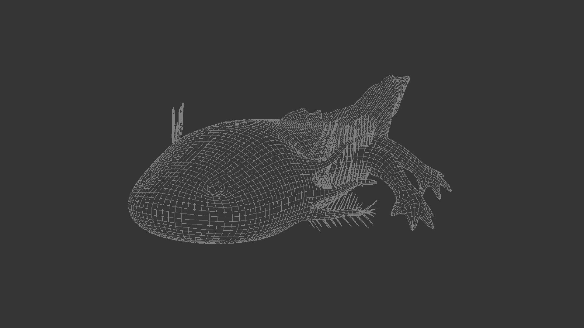 Axolotl Low-poly 3D model_5