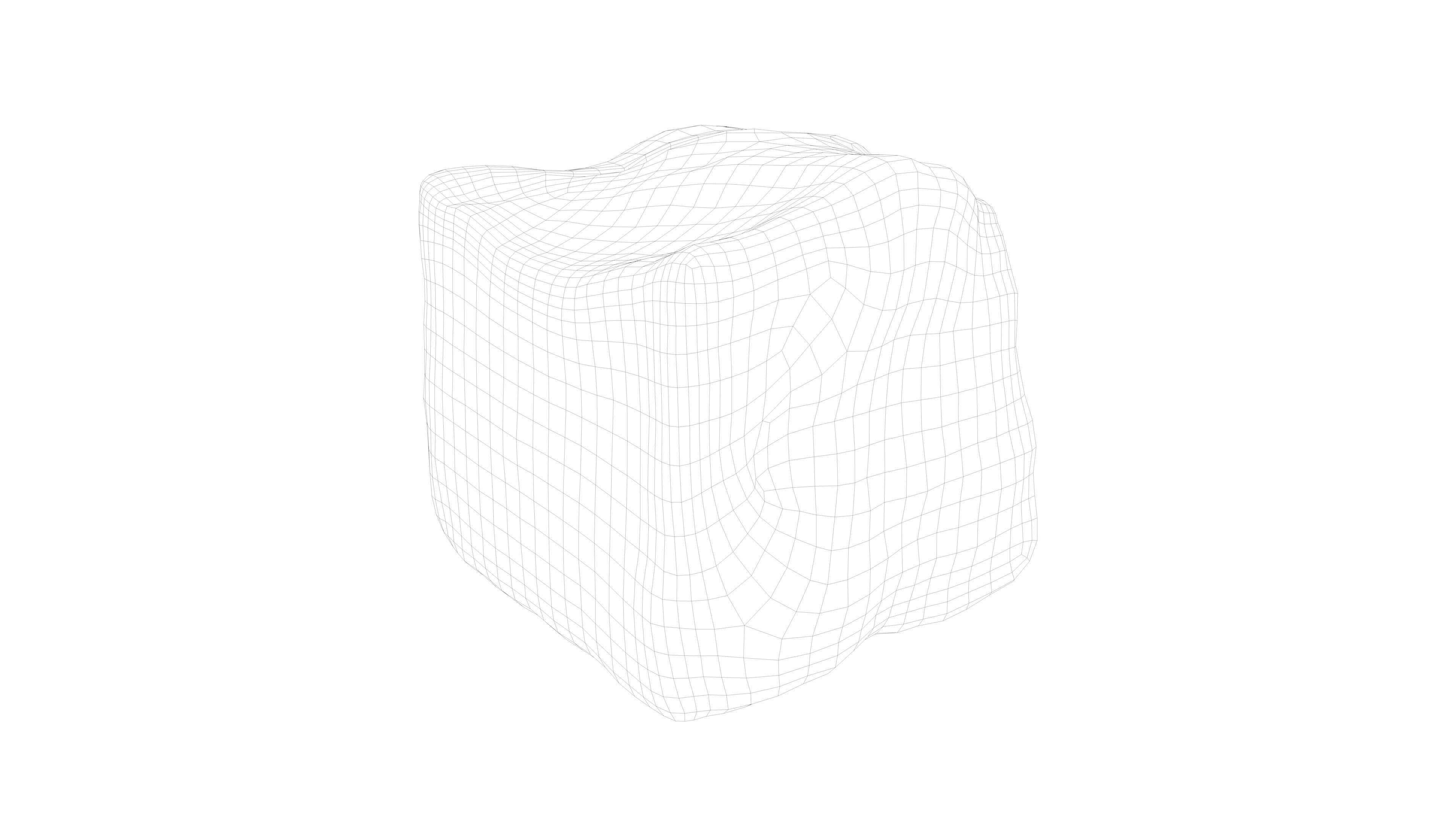 Photorealistic 3D scan of rock stone Low-poly 3D model_16