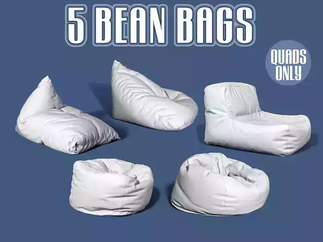 5 bean bag models