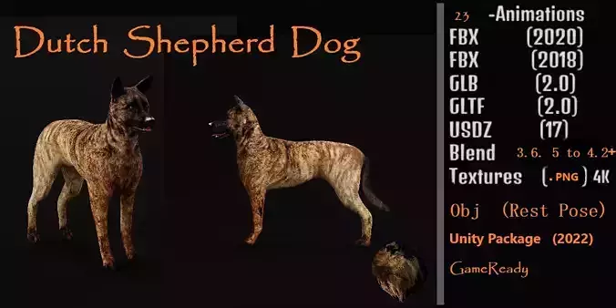 Dutch Shepherd Dog Low-poly 3D model
