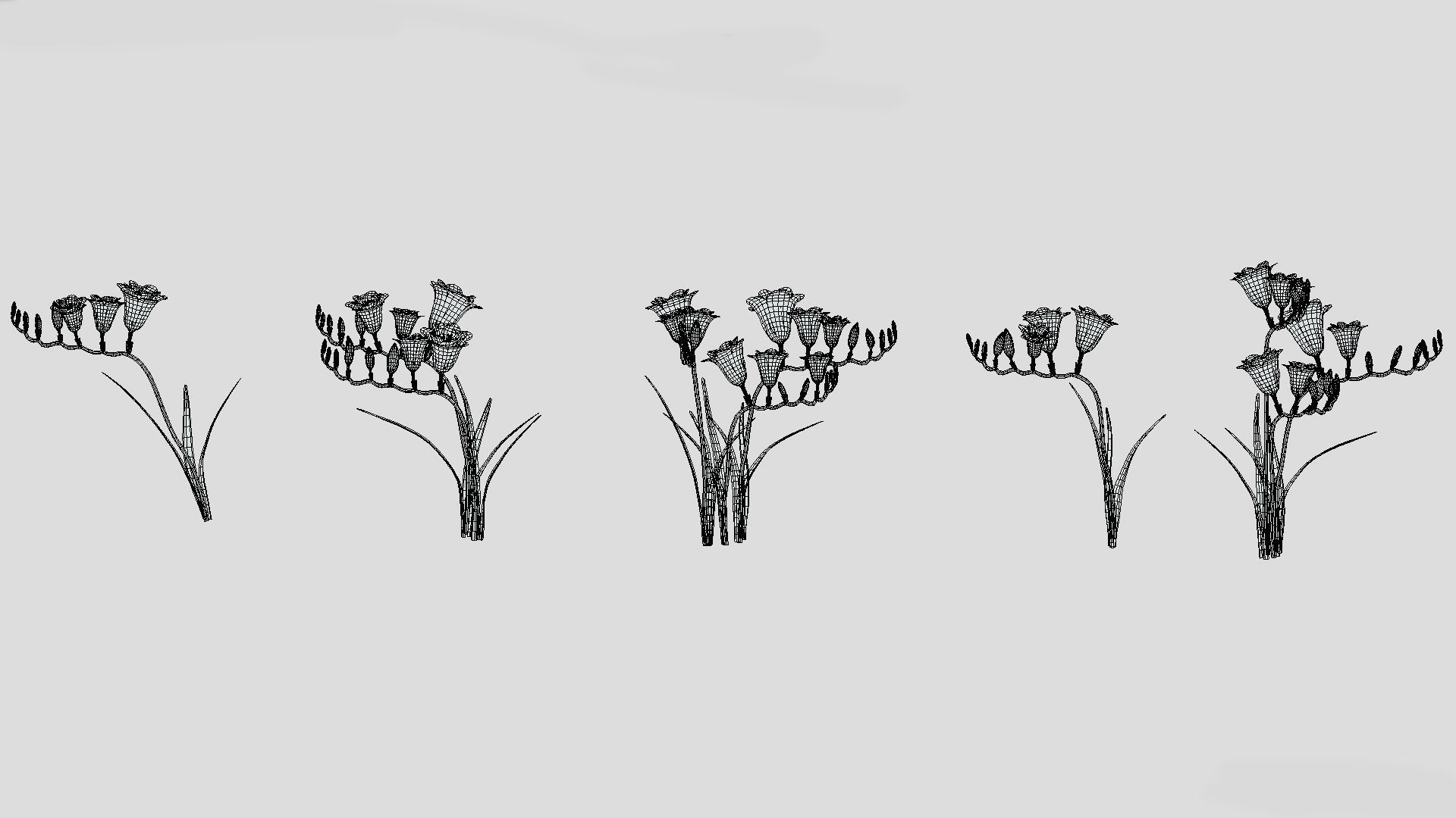 Freesia Flower low Poly 3D model_10