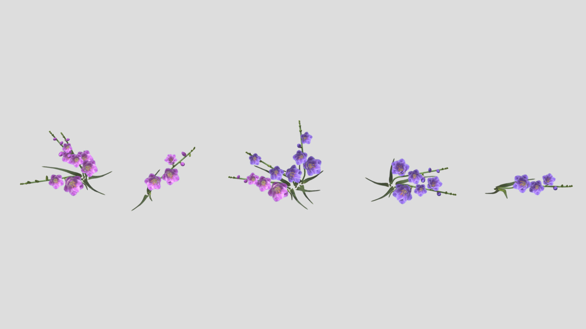 Freesia Flower low Poly 3D model_6