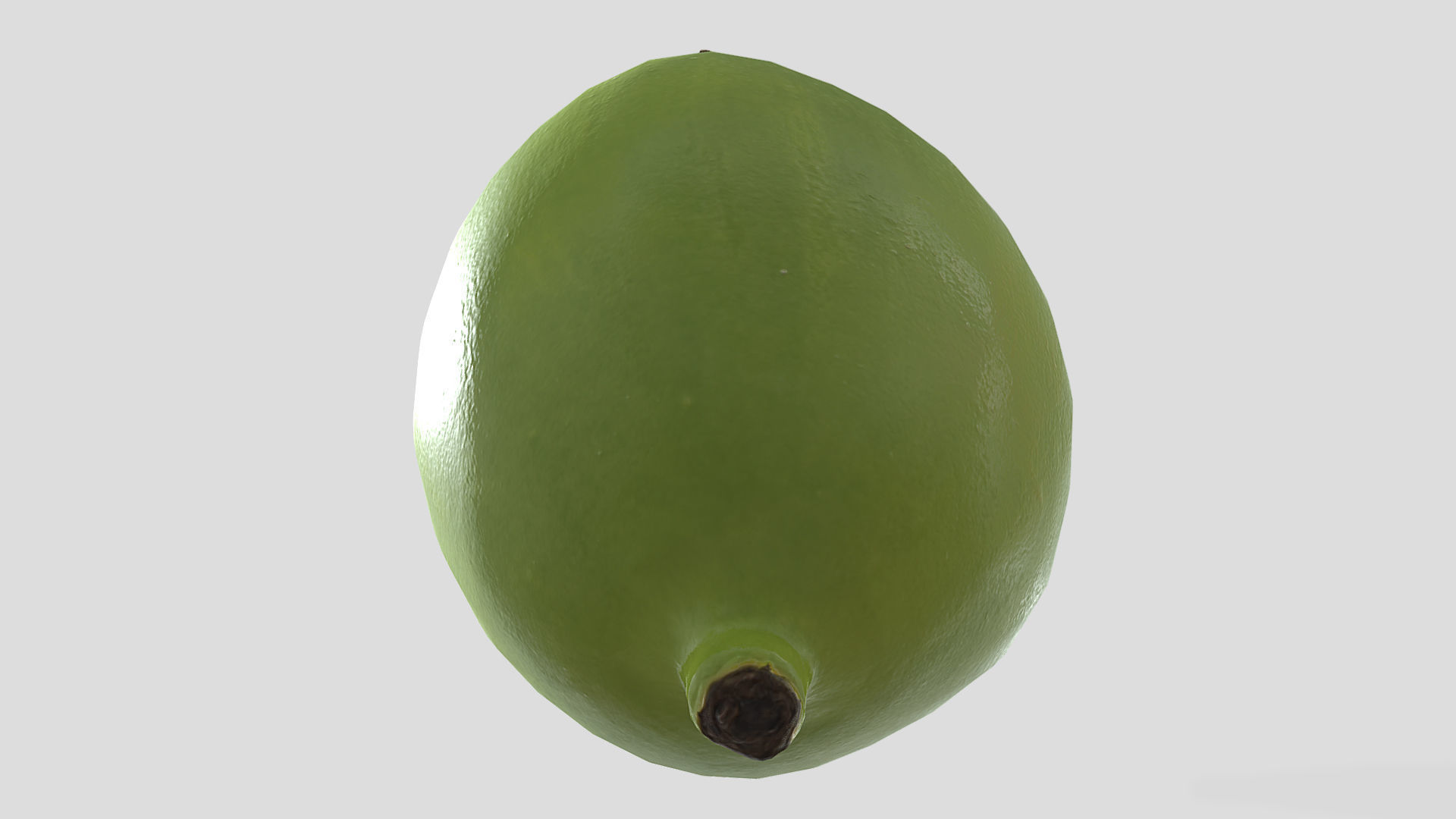 Fruit American Mayapple Low Poly 3D model_5