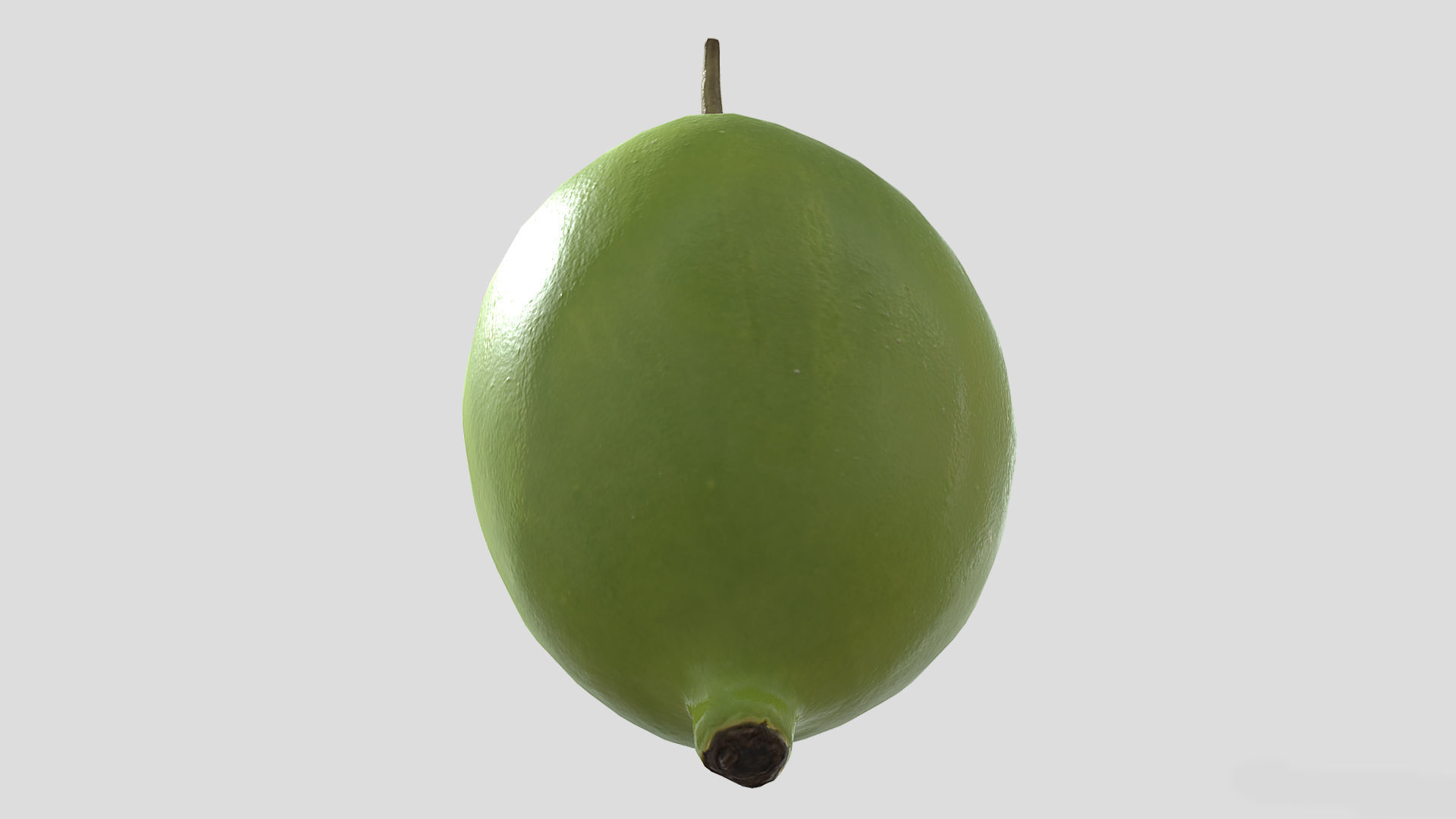 Fruit American Mayapple Low Poly 3D model_2