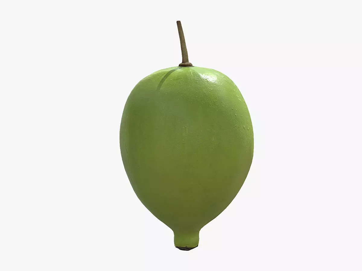 Fruit American Mayapple Low Poly 3D model_0