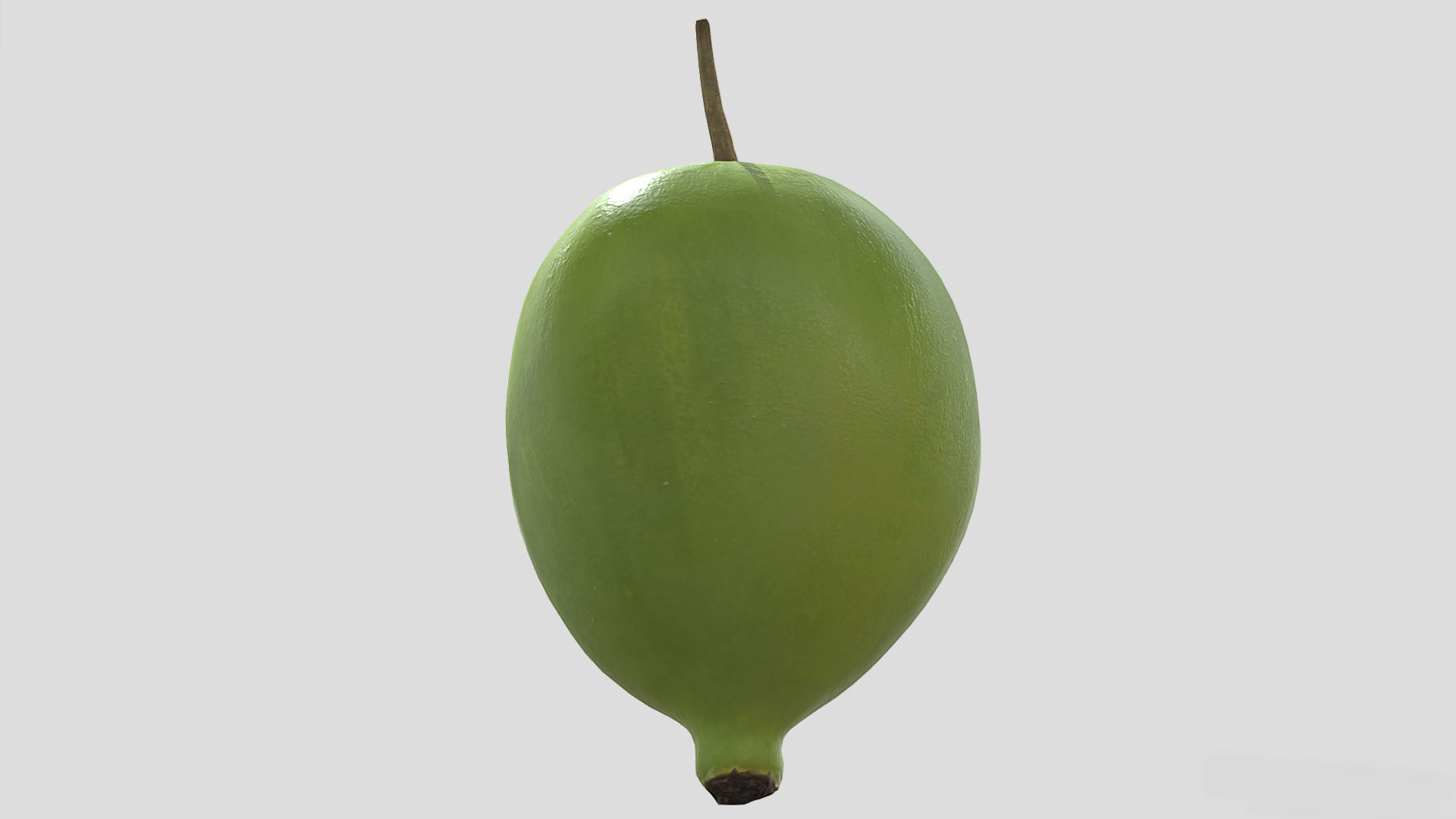 Fruit American Mayapple Low Poly 3D model_3