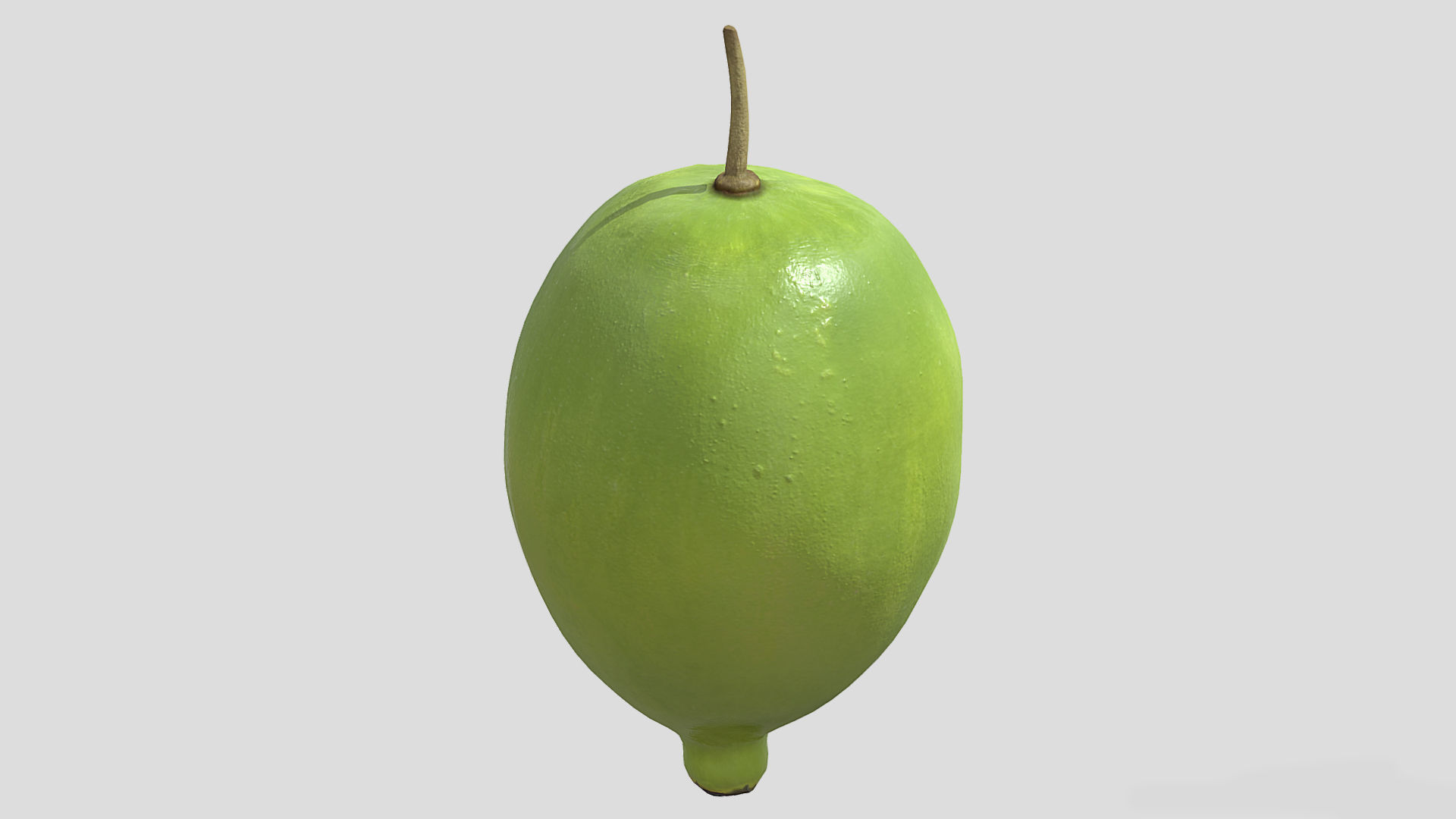 Fruit American Mayapple Low Poly 3D model_4