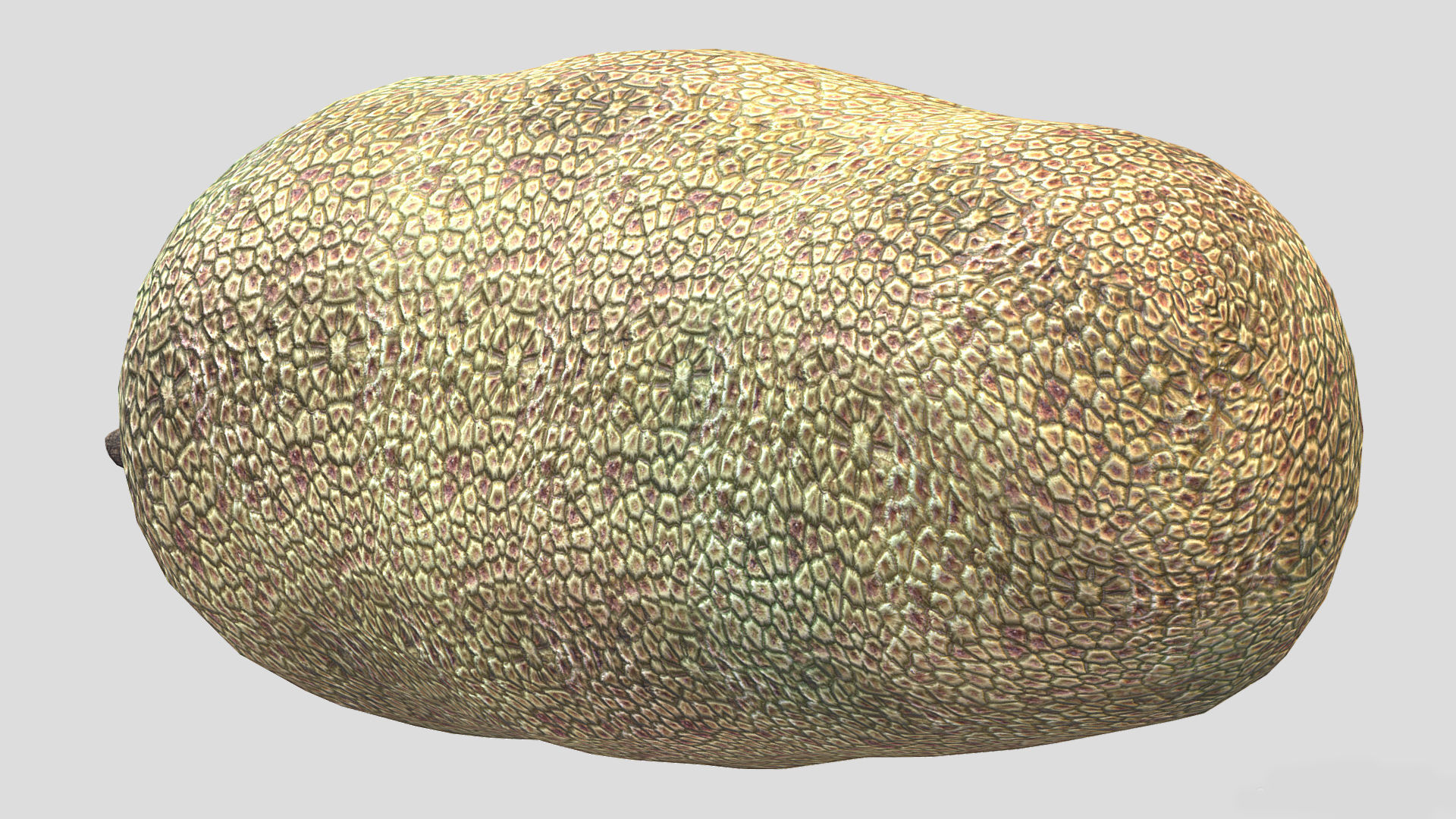 Fruit Artocarpus Integer  Low Poly 3D model_8