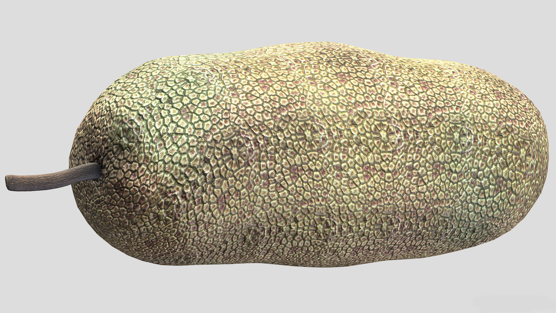 Fruit Artocarpus Integer  Low Poly 3D model_1