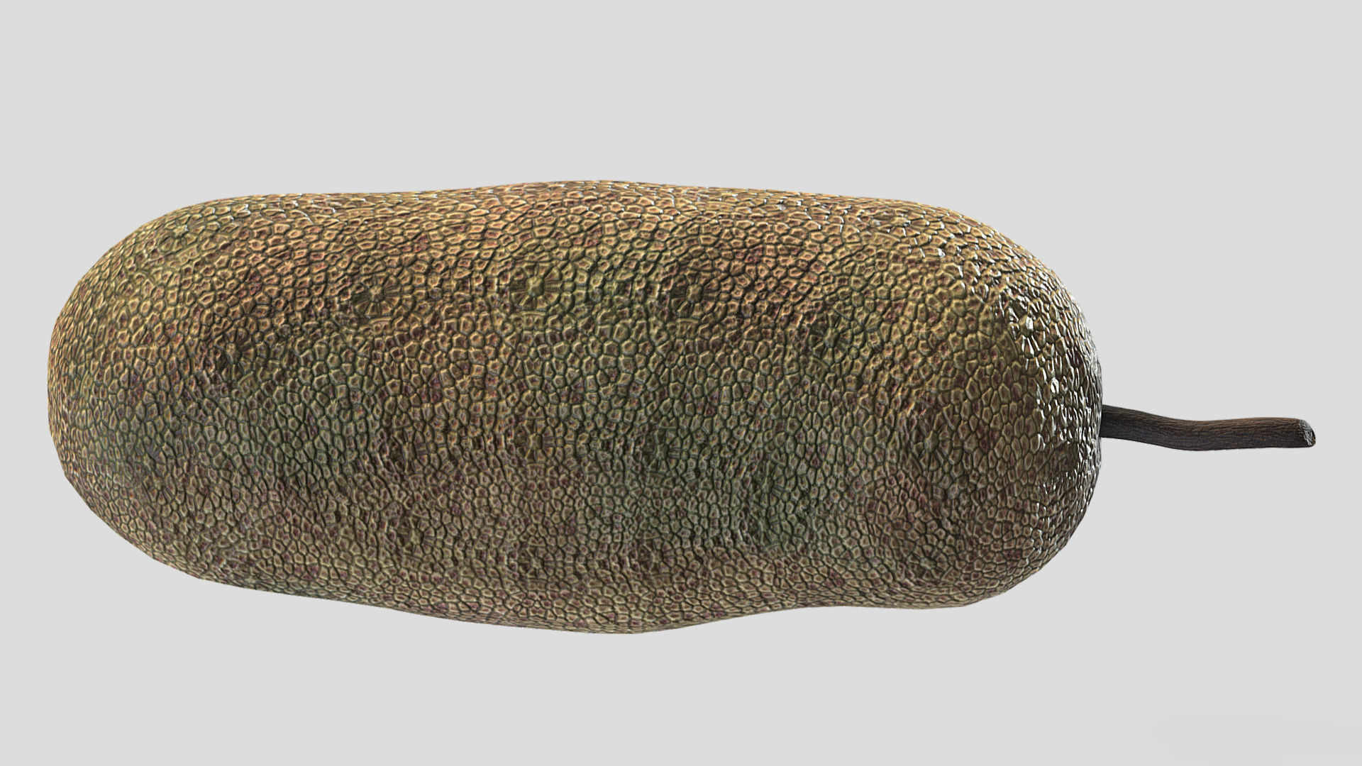 Fruit Artocarpus Integer  Low Poly 3D model_3