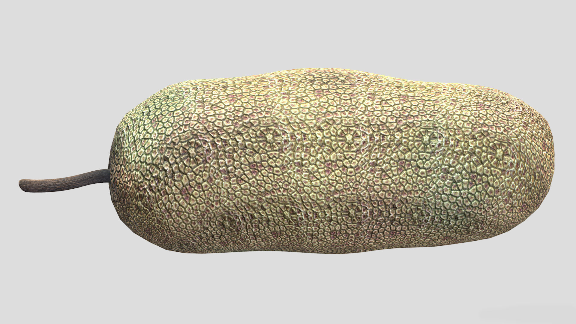 Fruit Artocarpus Integer  Low Poly 3D model_4