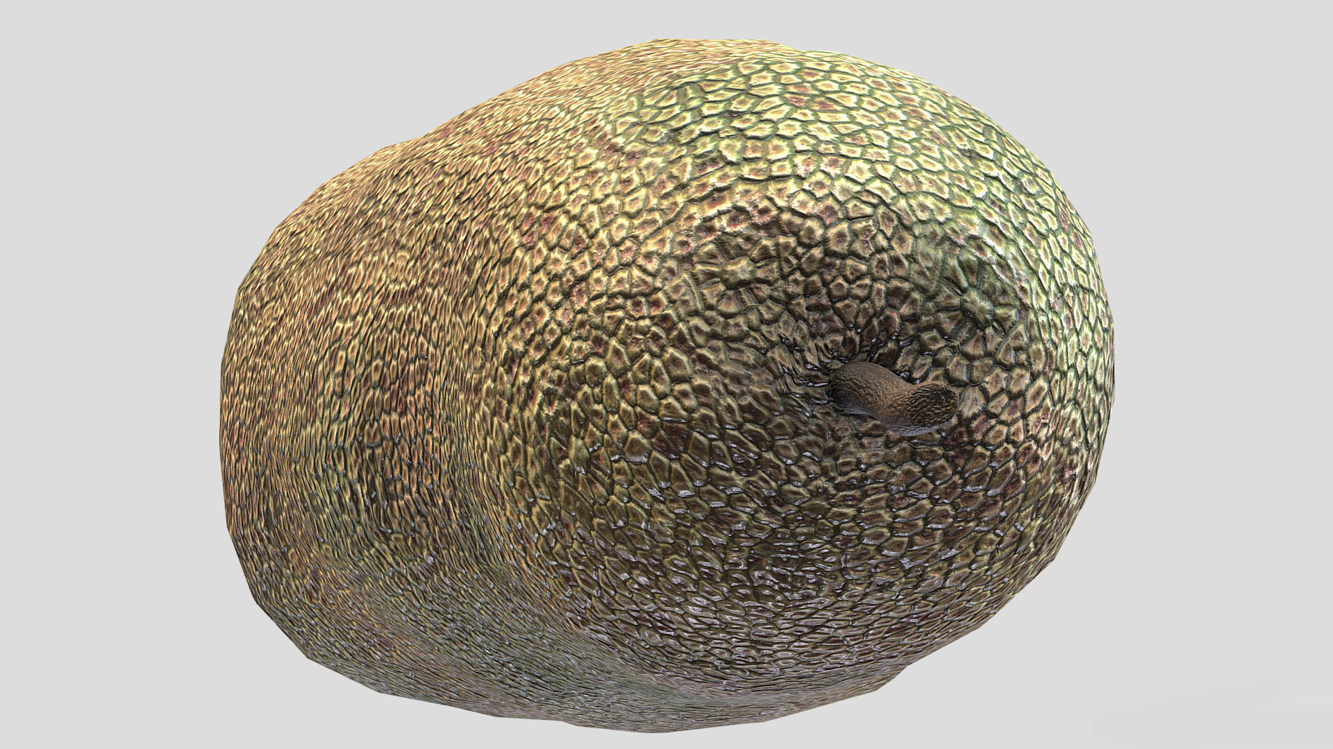 Fruit Artocarpus Integer  Low Poly 3D model_6