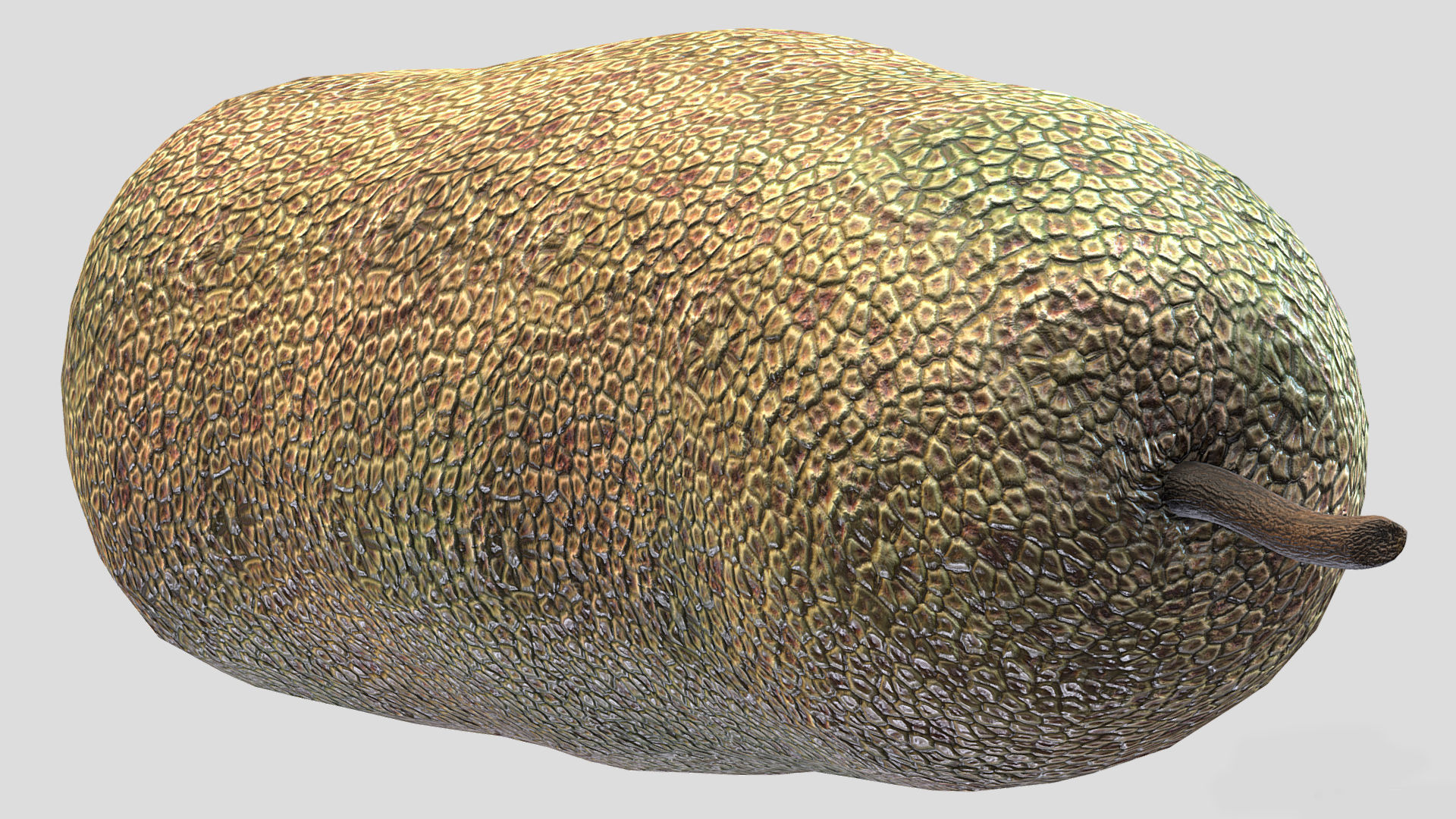 Fruit Artocarpus Integer  Low Poly 3D model_2