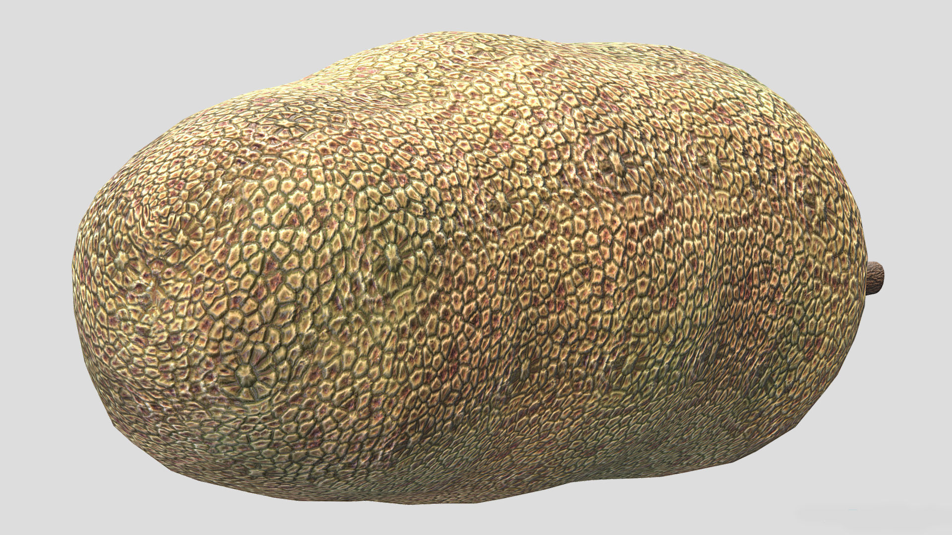 Fruit Artocarpus Integer  Low Poly 3D model_7