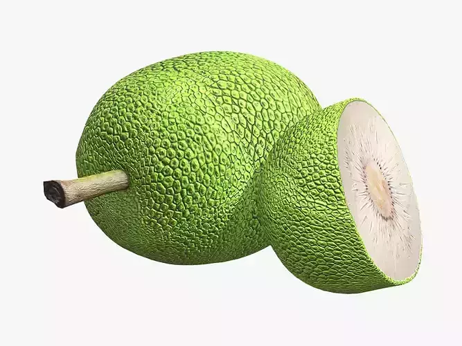 Fruit Breadfruit Low Poly 3D model