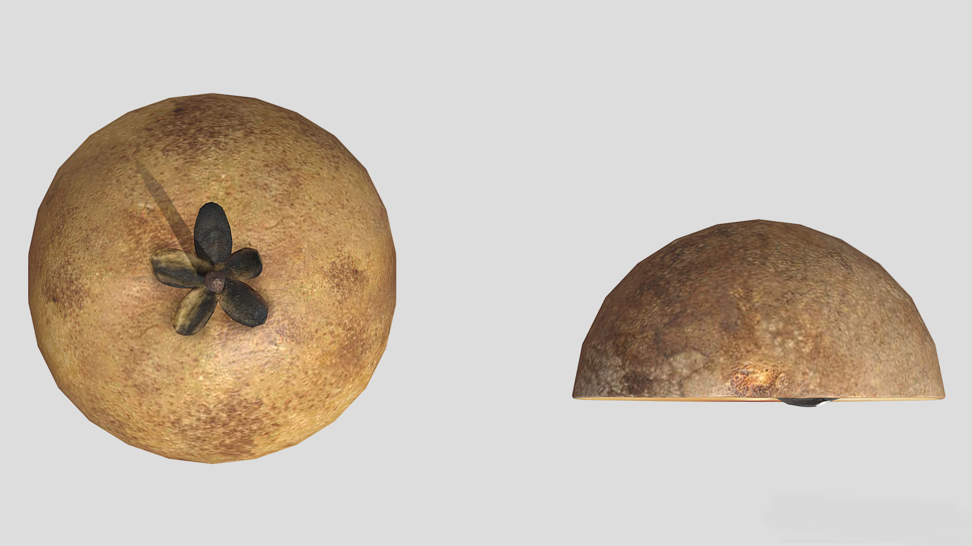 Fruit Chico Low Poly 3D model_3