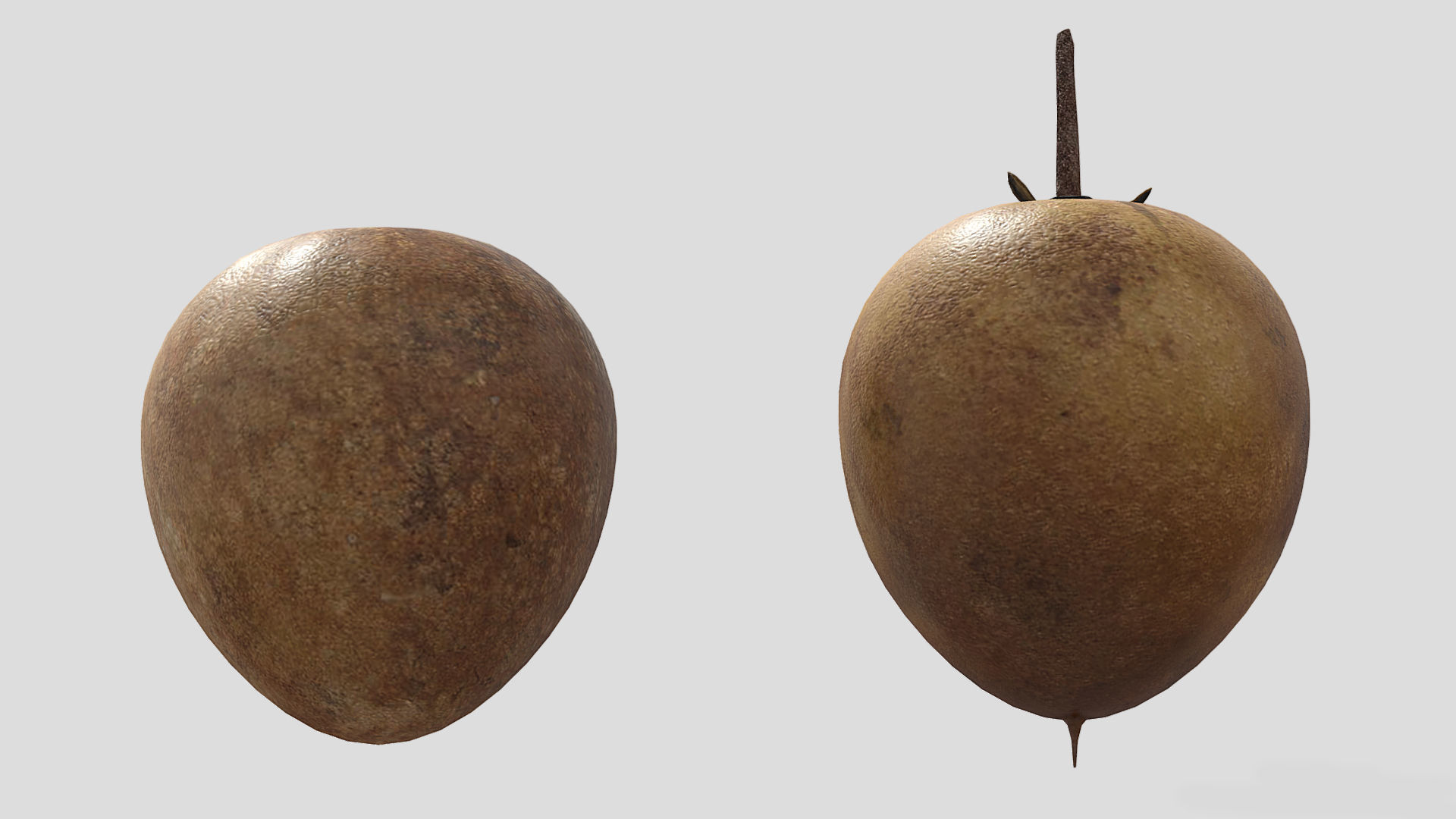Fruit Chico Low Poly 3D model_7