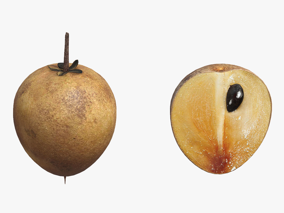 Fruit Chico Low Poly 3D model_0