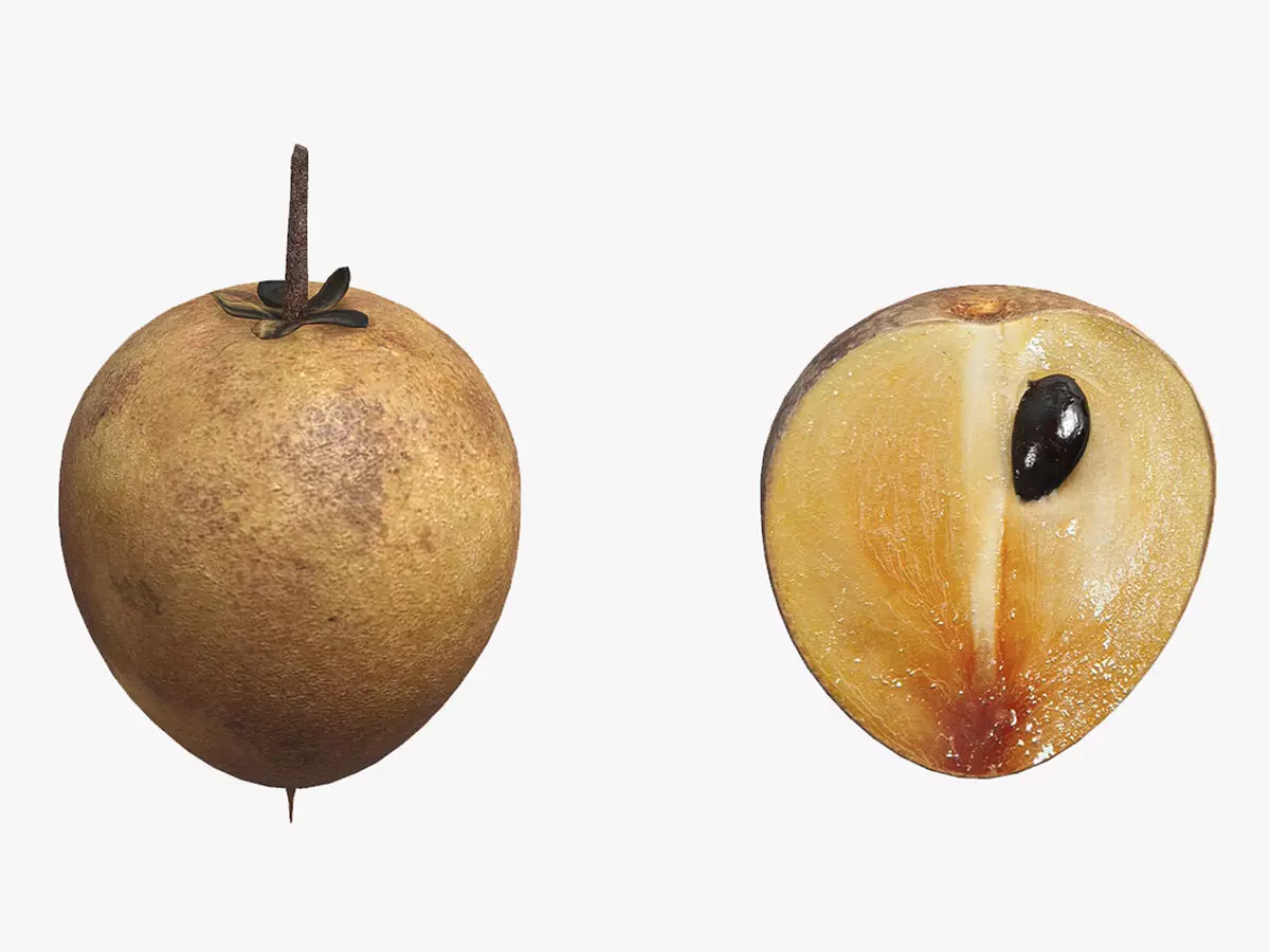 Fruit Chico Low Poly 3D model_0