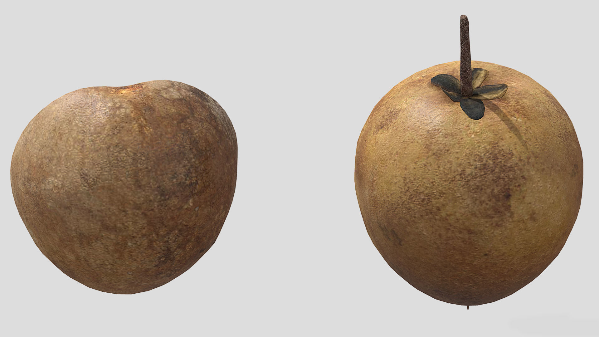 Fruit Chico Low Poly 3D model_8