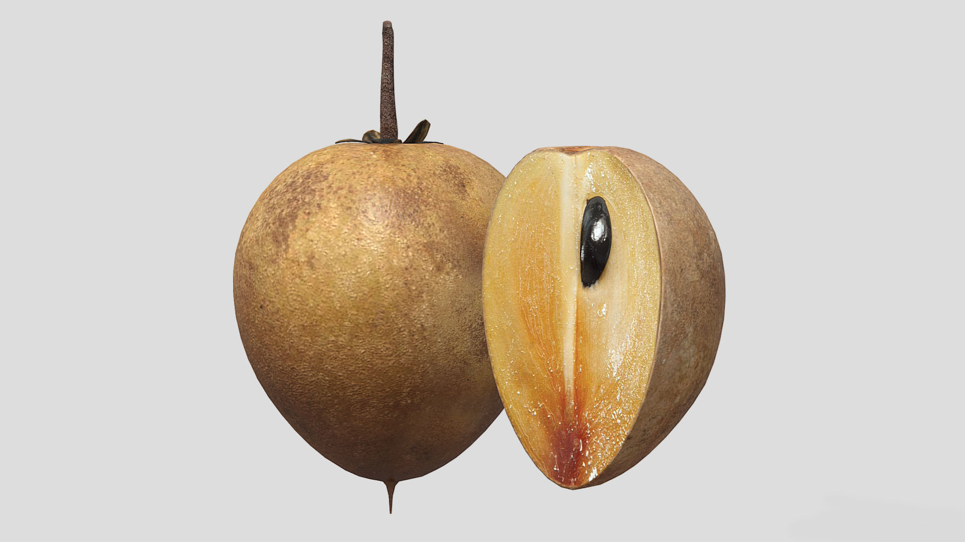 Fruit Chico Low Poly 3D model_5