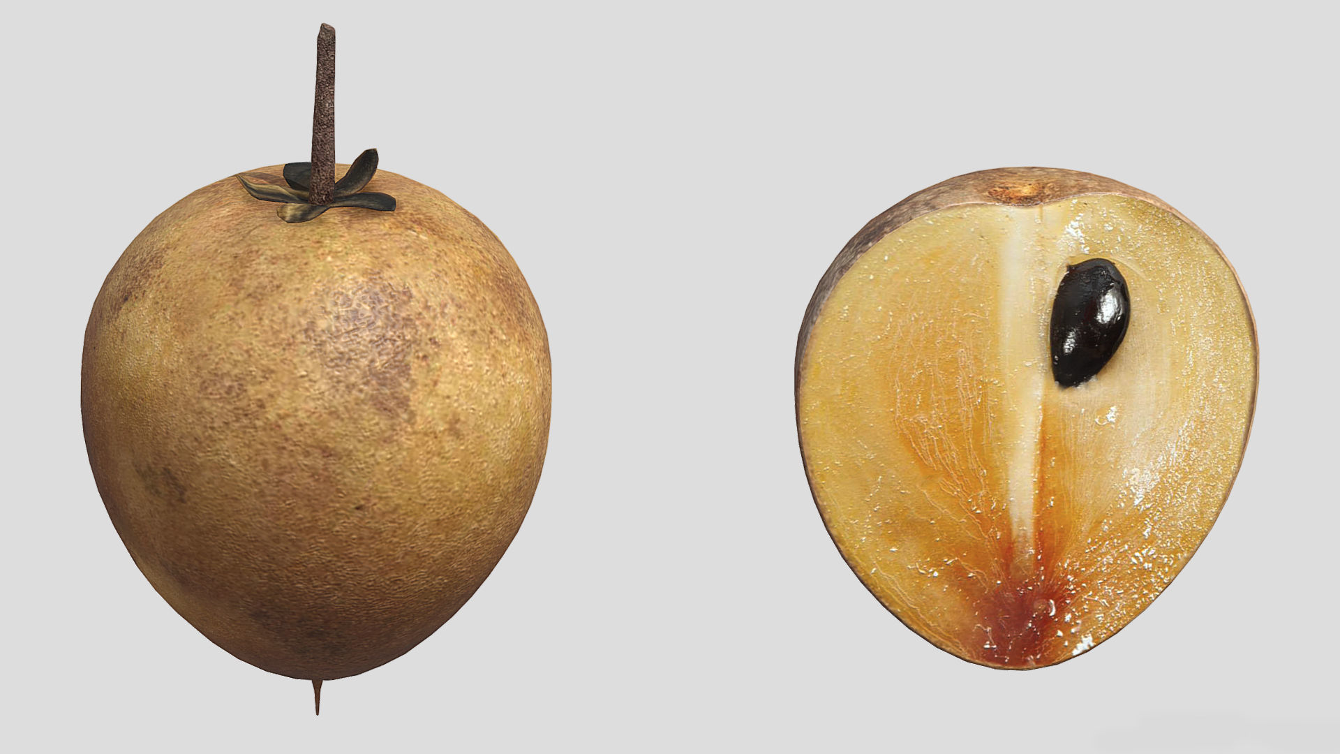 Fruit Chico Low Poly 3D model_1