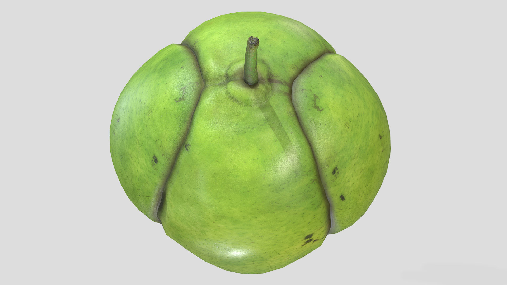 Fruit Dillenia Philippinensis Low Poly 3D model_7