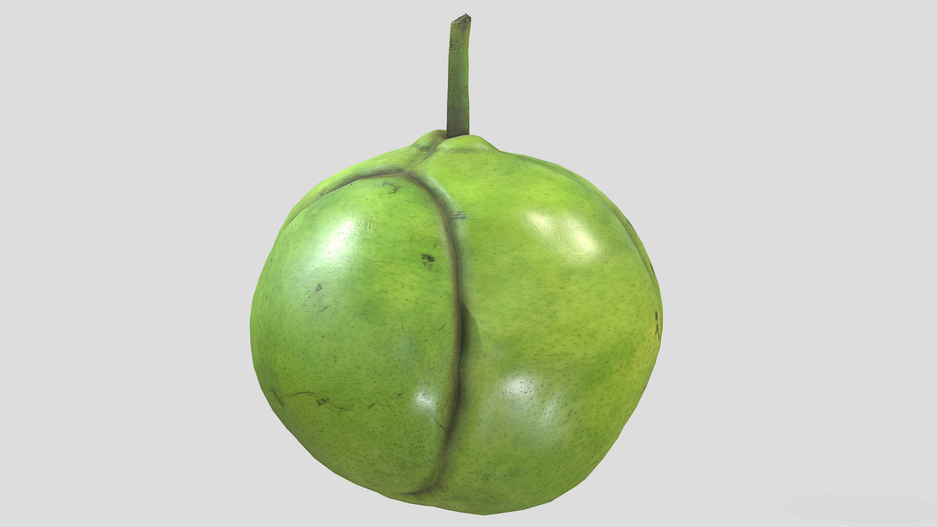 Fruit Dillenia Philippinensis Low Poly 3D model_5