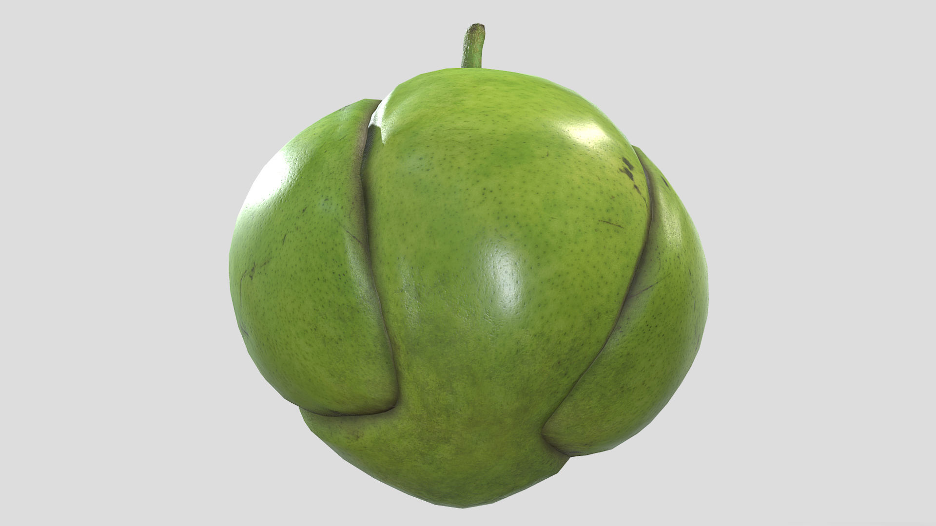 Fruit Dillenia Philippinensis Low Poly 3D model_4