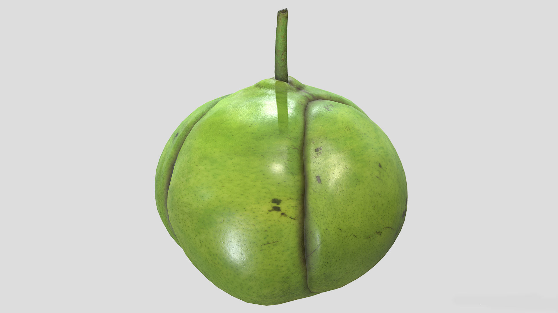 Fruit Dillenia Philippinensis Low Poly 3D model_2