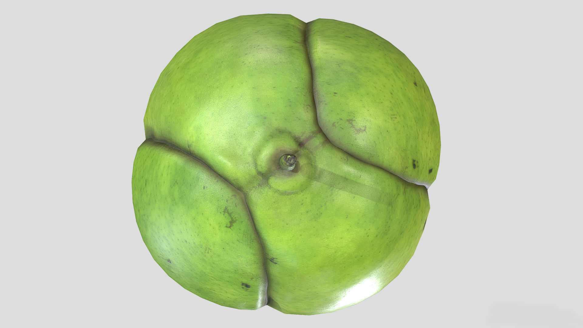 Fruit Dillenia Philippinensis Low Poly 3D model_6