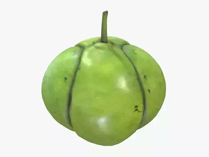 Fruit Dillenia Philippinensis Low Poly 3D model