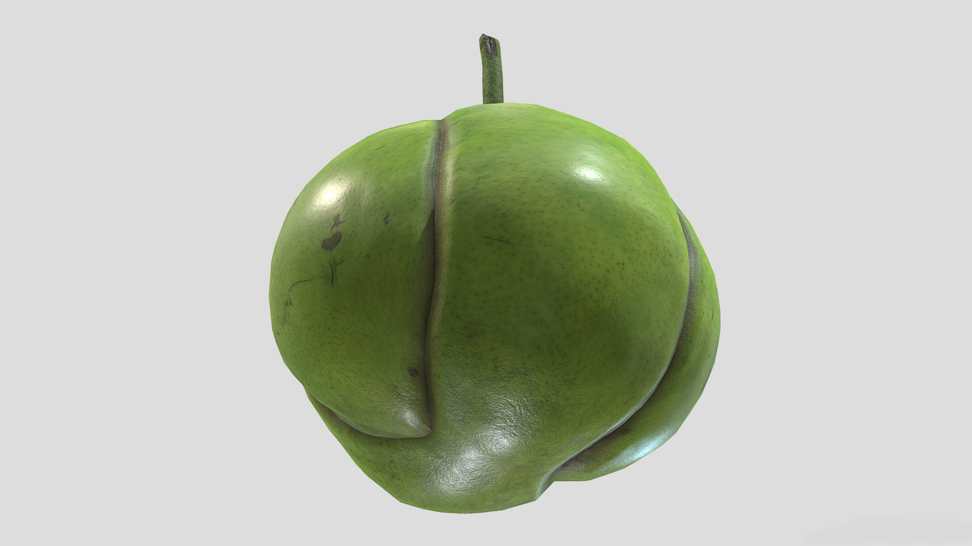 Fruit Dillenia Philippinensis Low Poly 3D model_3
