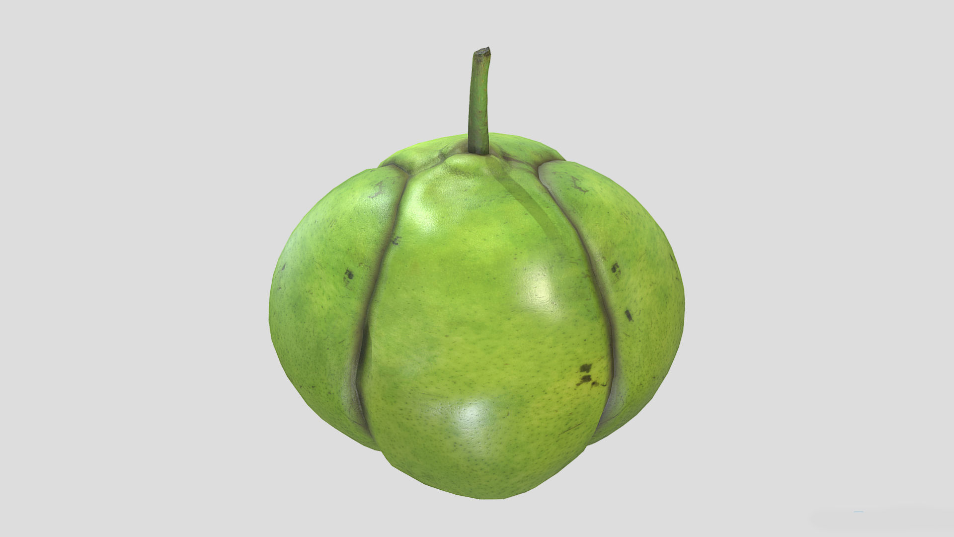 Fruit Dillenia Philippinensis Low Poly 3D model_1