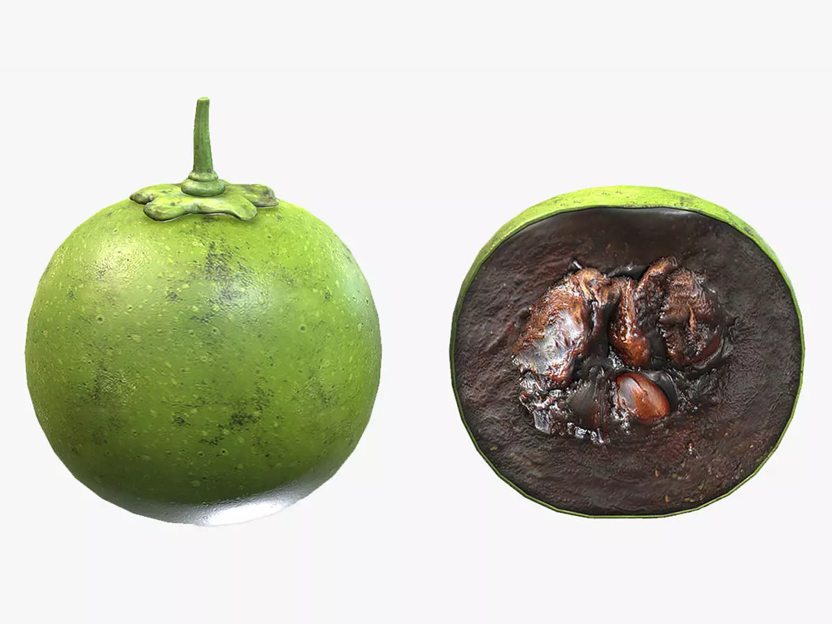 Fruit Diospyros Nigra Low Poly 3D model_0