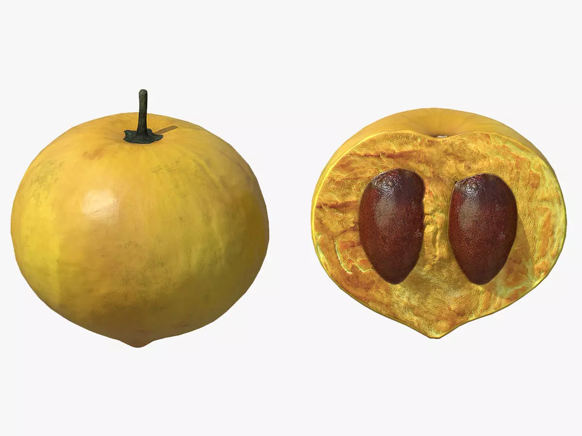 Fruit Egg Low Poly 3D model