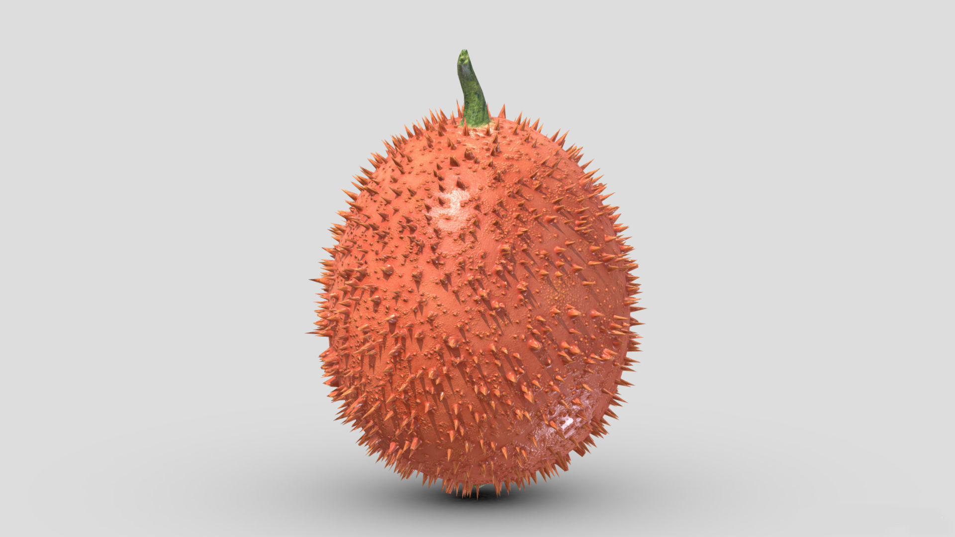 Fruit Gac Low Poly 3D model_5