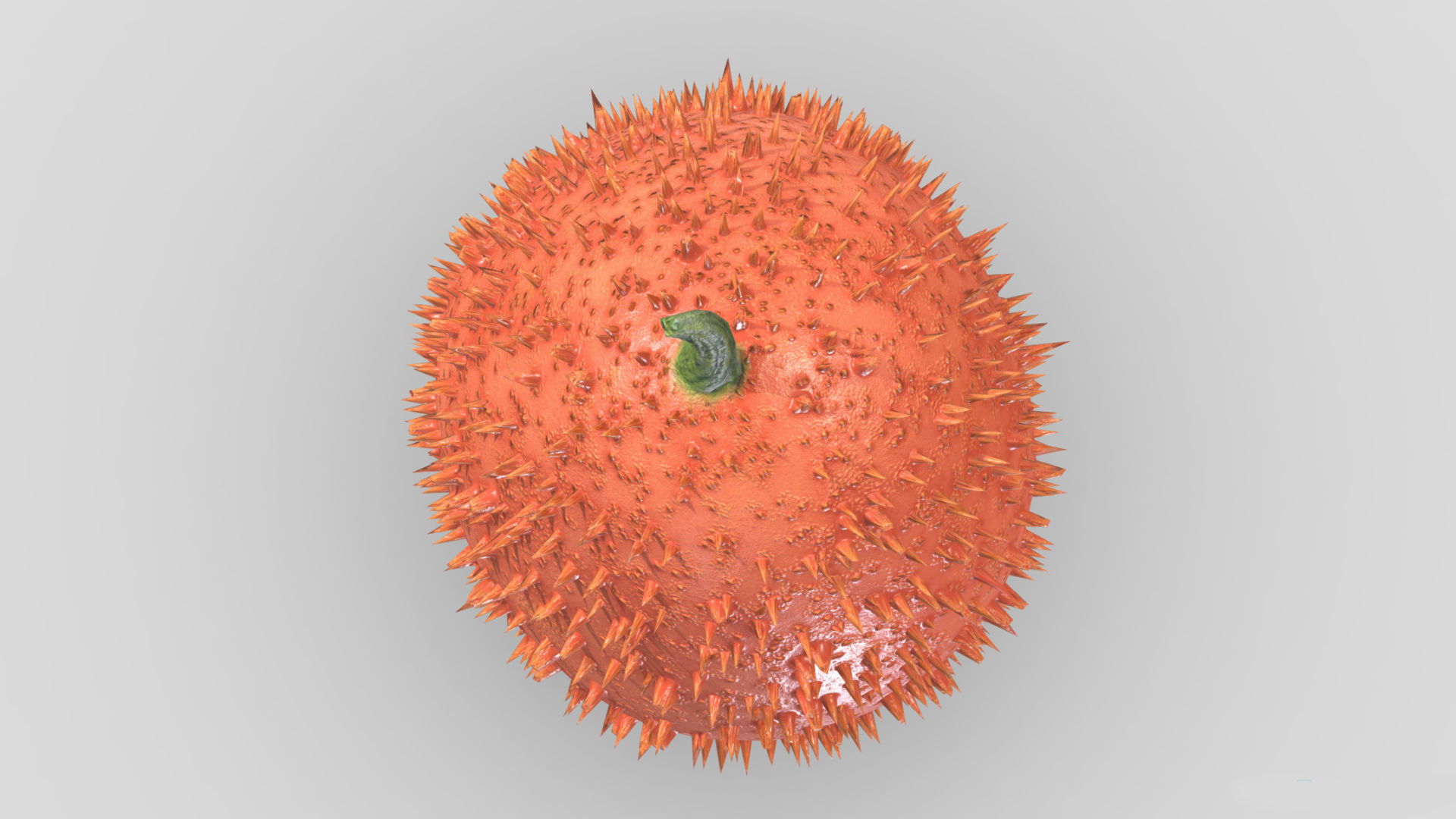 Fruit Gac Low Poly 3D model_7