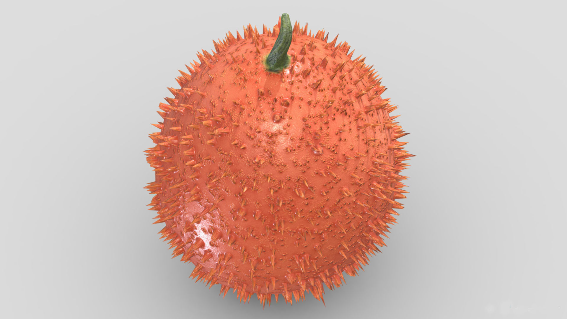 Fruit Gac Low Poly 3D model_2