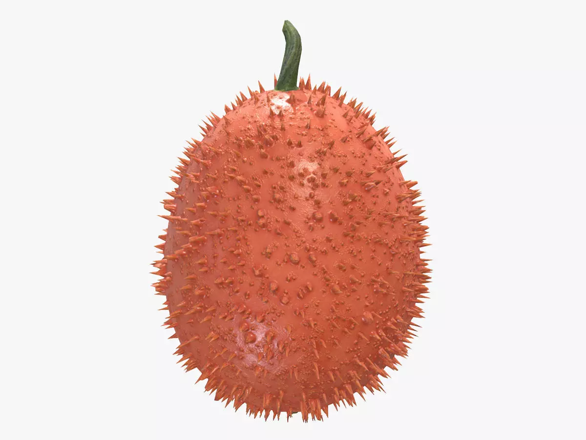 Fruit Gac Low Poly 3D model_0