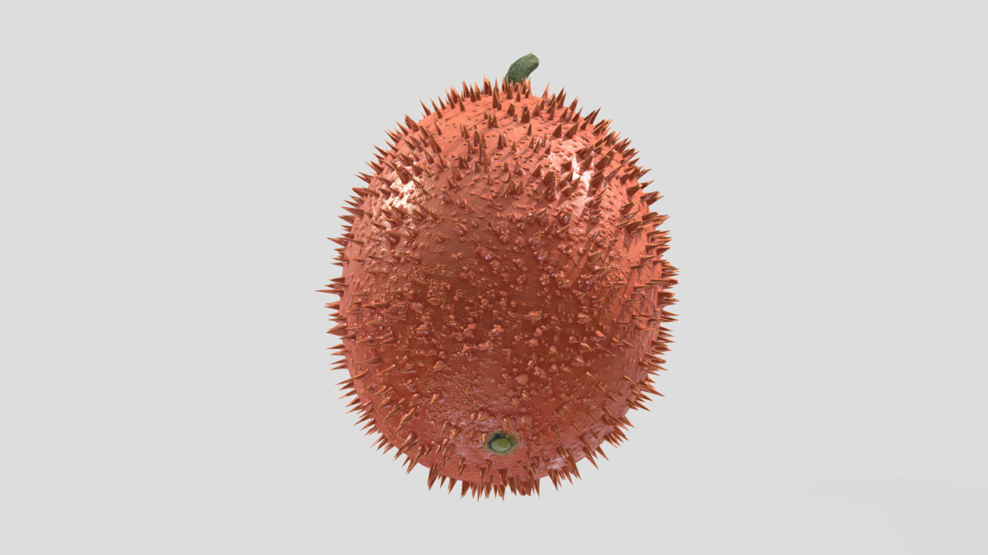 Fruit Gac Low Poly 3D model_6